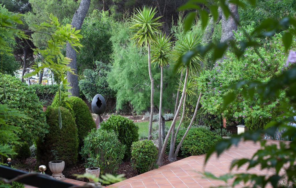 Facilities Bahía Paguera Paguera Facilities Bahía Paguera Paguera